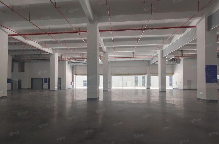 深圳周边惠阳全新厂房出租首层高8米大小面积可分租楼上承重1吨