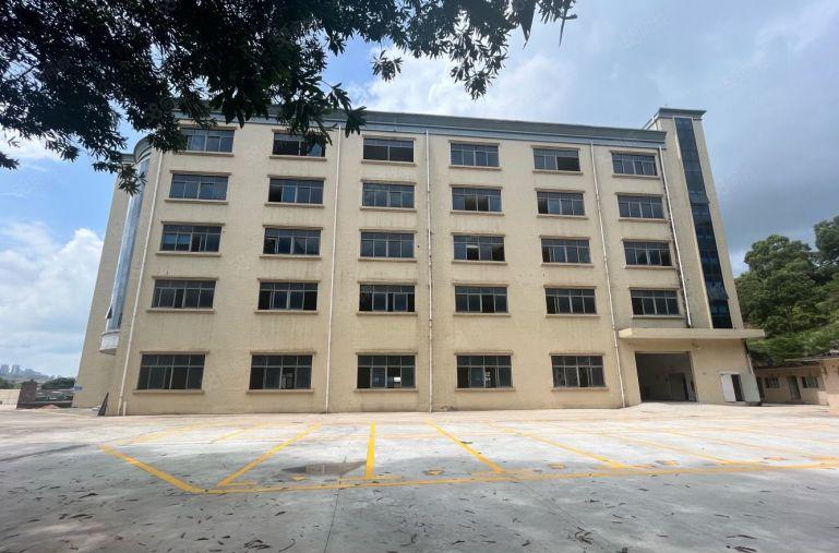 惠阳秋长原房东10000平独门独院现成装修仓库厂房出租可分租