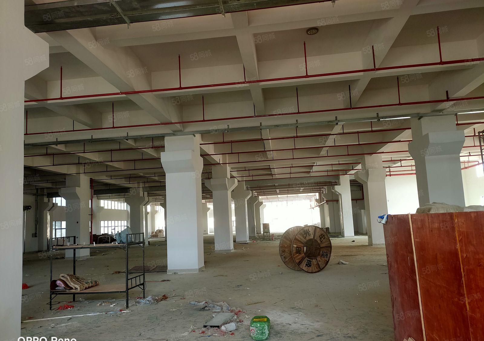 淡水东惠澳大道全新标准35000厂房招租