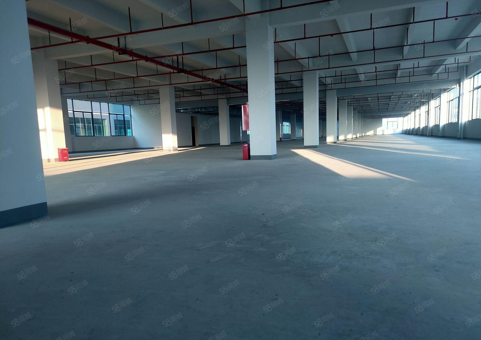 惠东县白花镇新出43000平标准厂房招租可整可分租