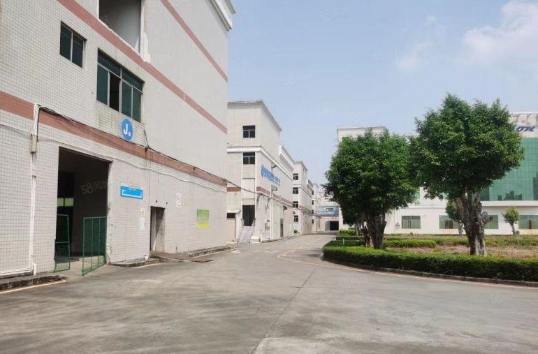 惠阳淡水原房东厂房出租，现成办公室