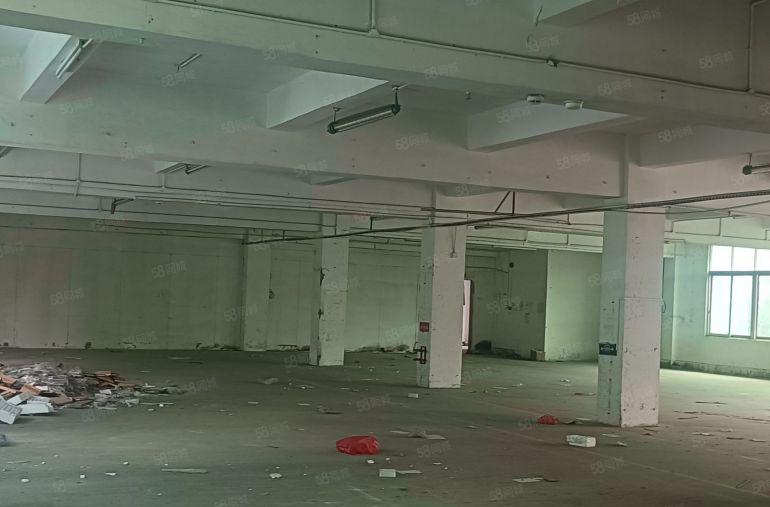 惠阳新圩205国道边新出红本独院标准厂房6800平招租