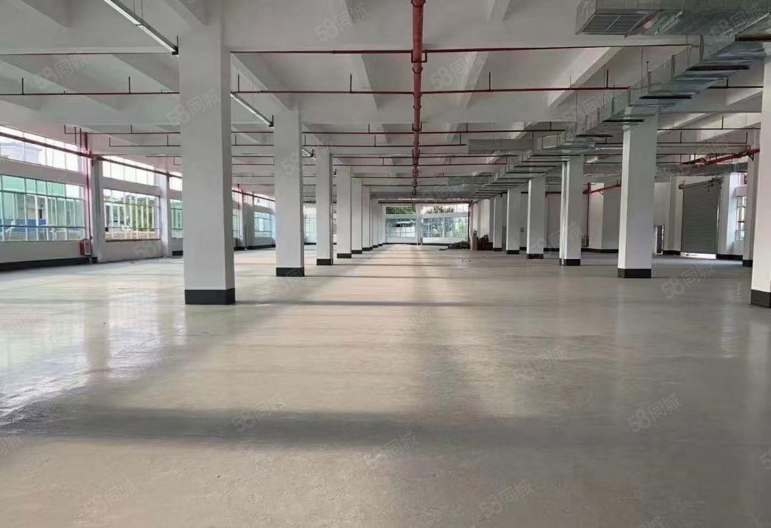 惠阳秋长新出原房东独门独院厂房13层5000平米出租