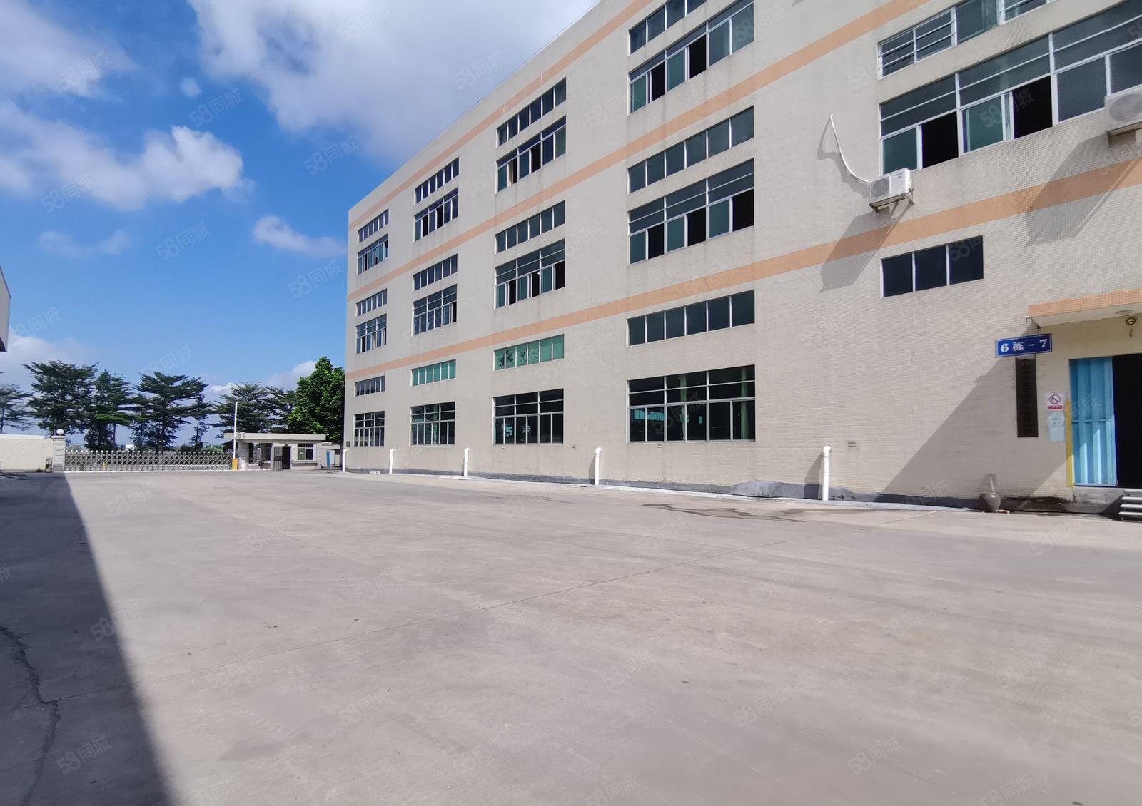 镇隆井龙工业区2000平厂房出租10元起租可办环评适做家具等