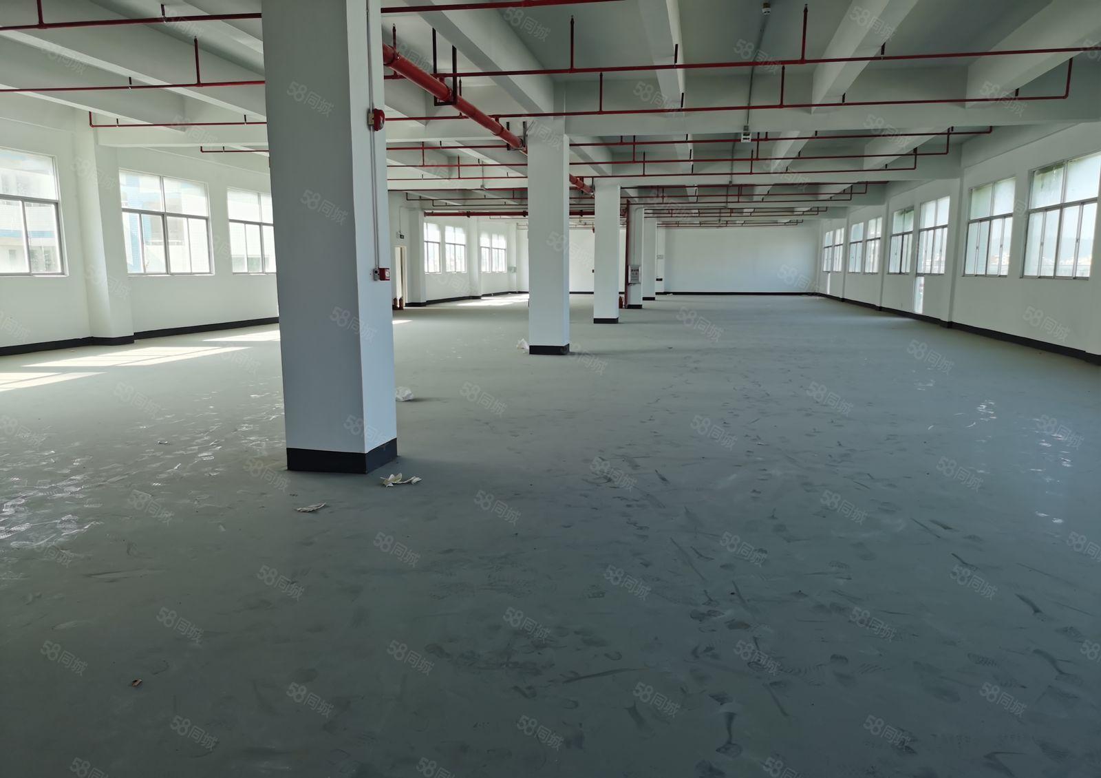 惠阳区秋长独院标准厂房面积3000平米出租