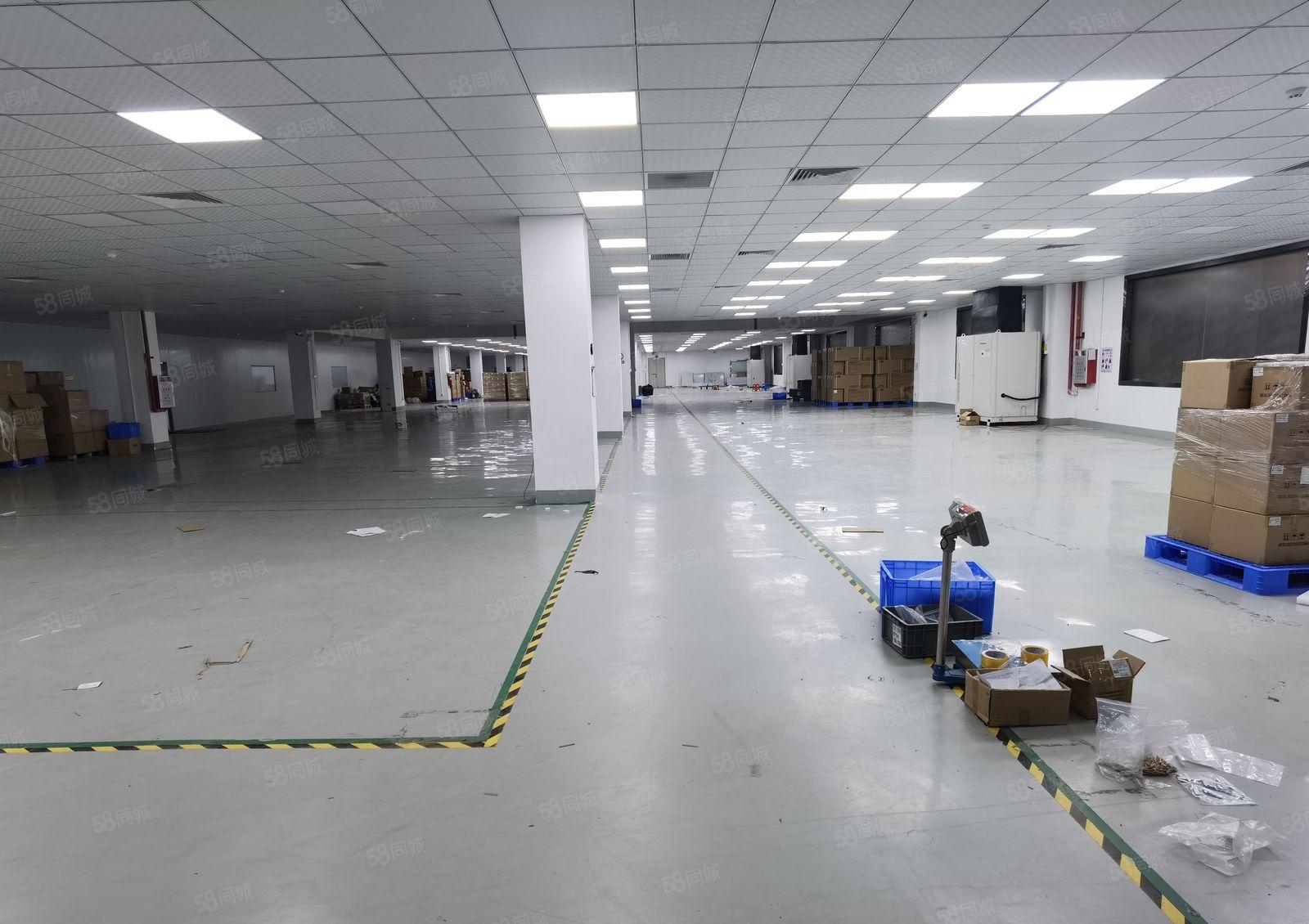 惠州市惠阳区新圩镇10000独院标准厂房原房东出租可分租