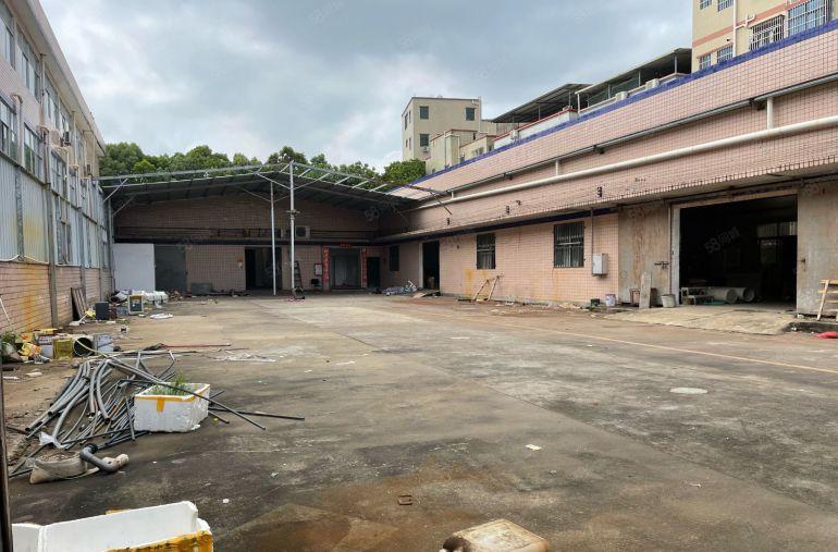 12元12元！新圩长布600平6.5米高厂房仓库低价出租