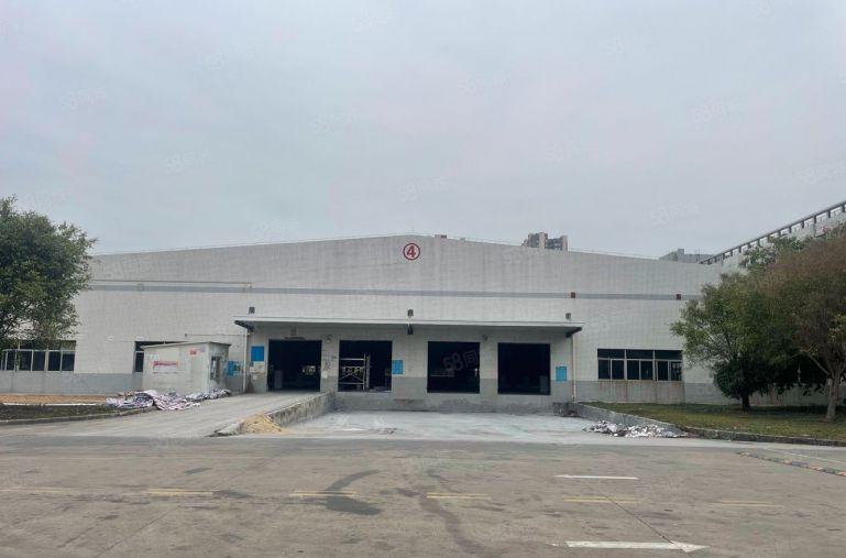 带货台 镇隆万里工业区新出5000平单一层厂房仓库低价出租