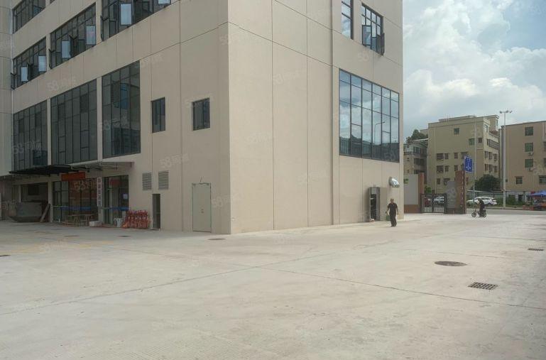 惠州新圩全新厂房带红本1楼2楼各2000平实际面积可整租分租