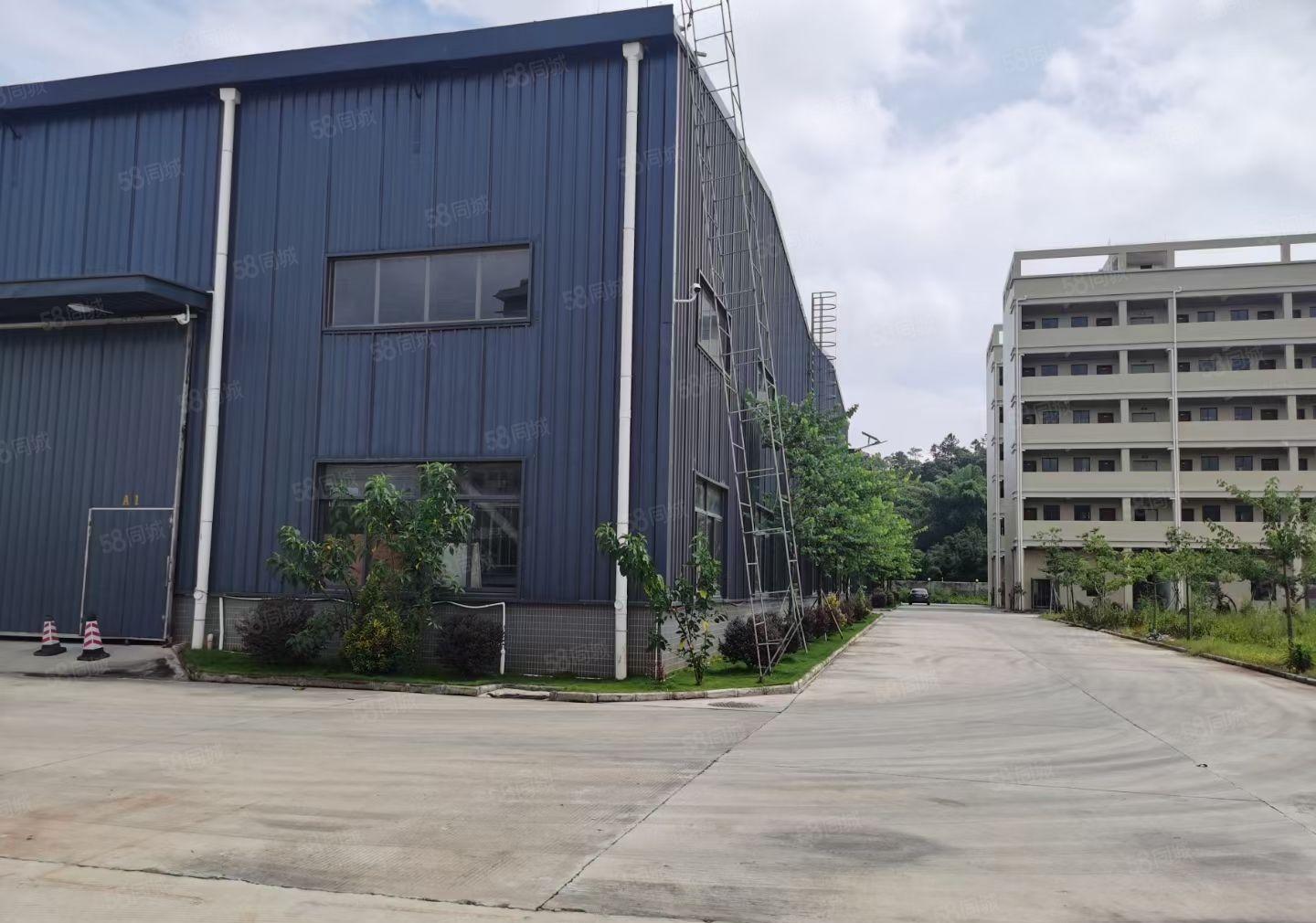 镇隆原房东钢构12000平方，滴水10米业主直租