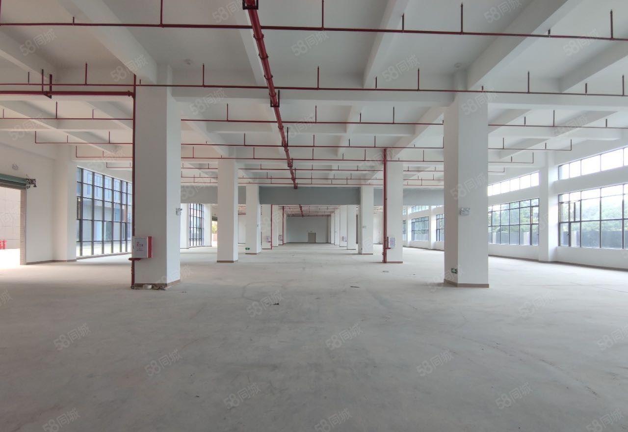 惠阳沙田2万独院厂房出租 证件全 可分租 一楼层高7米