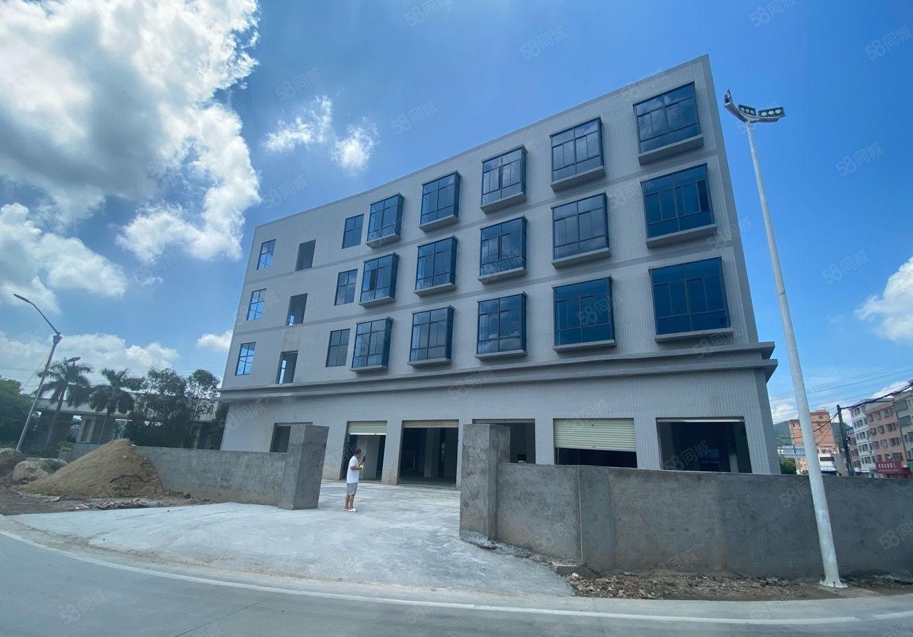 新圩原房东红本6000平独栋全新厂房出租临深临莞路段可分租