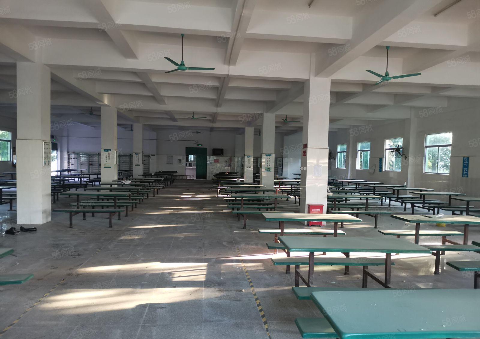 可做学校培训等上市公司形象独院厂房隆重招商