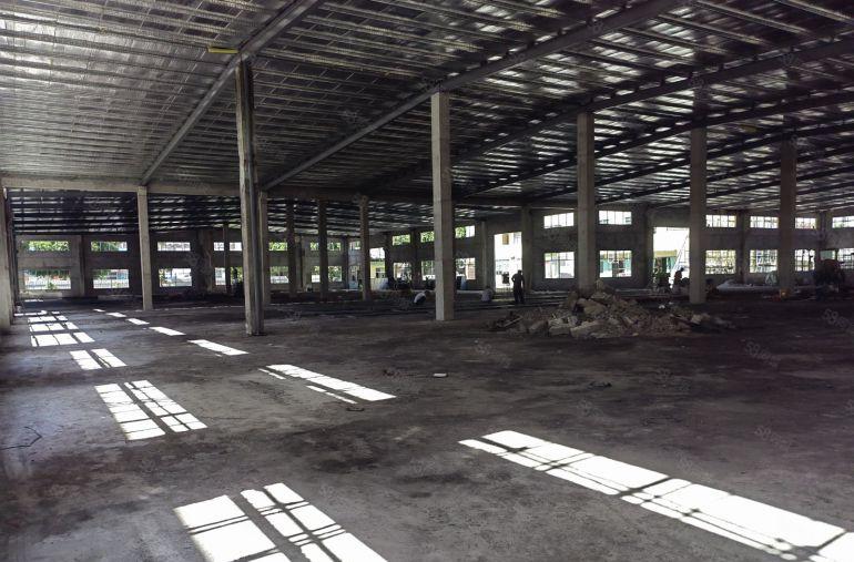 惠州市秋长镇原房东独门独院钢构厂房6400平方主干道边