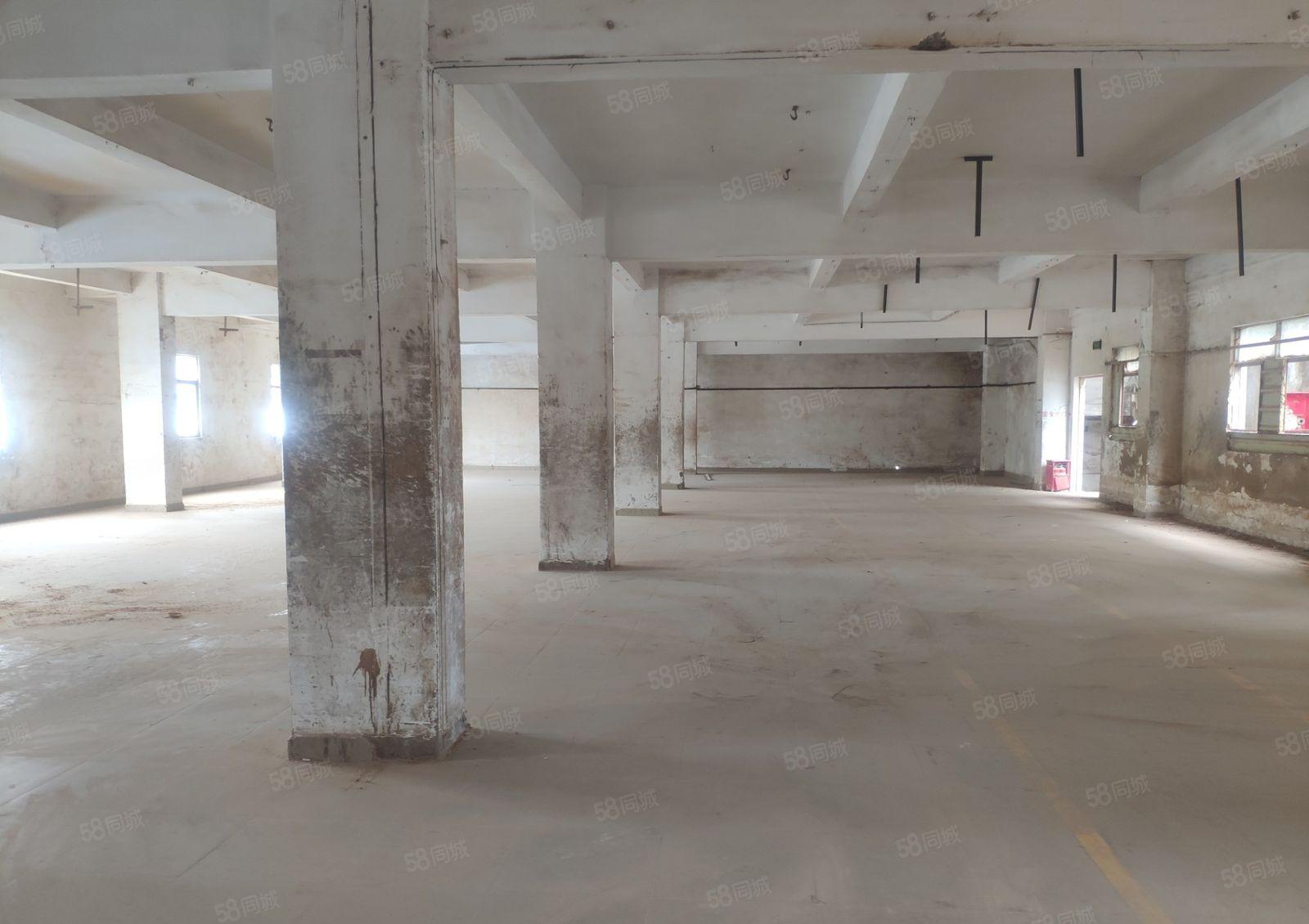 惠阳新圩楼上500平标准厂房出租现成装修有货梯