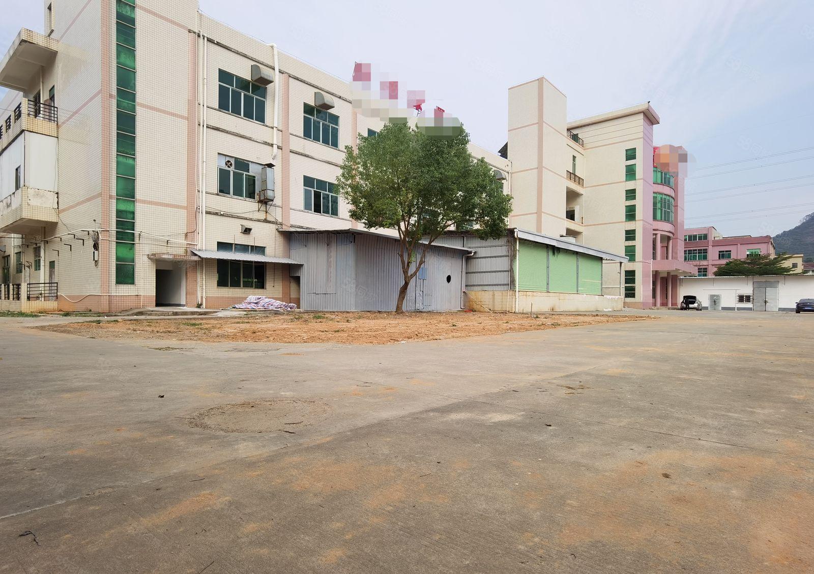 惠阳三和独门独院大空地标准厂房15000平出租1000平起分