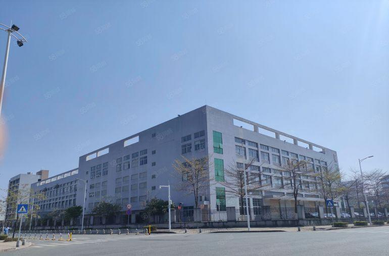 三和原房东无公摊厂房低价出租15000平出租两百平起租一楼仓