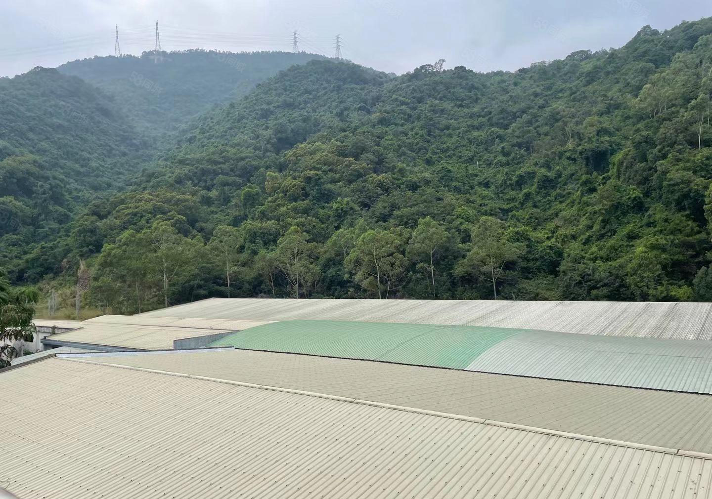 惠阳区新圩靠山边工业园钢构厂房滴水8米面积4125平方招租