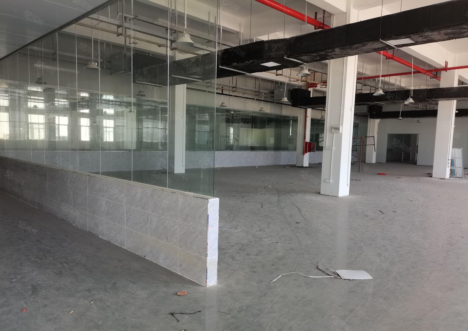 惠州秋长原房东小独院4500平米厂房仓库出租可分租可办环评急