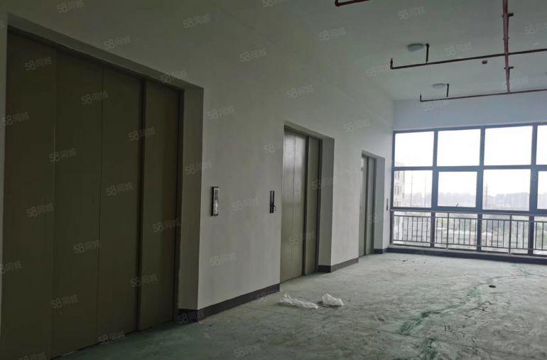 白花沙田临深区域标准靓丽厂房独门独院15000平可以分租