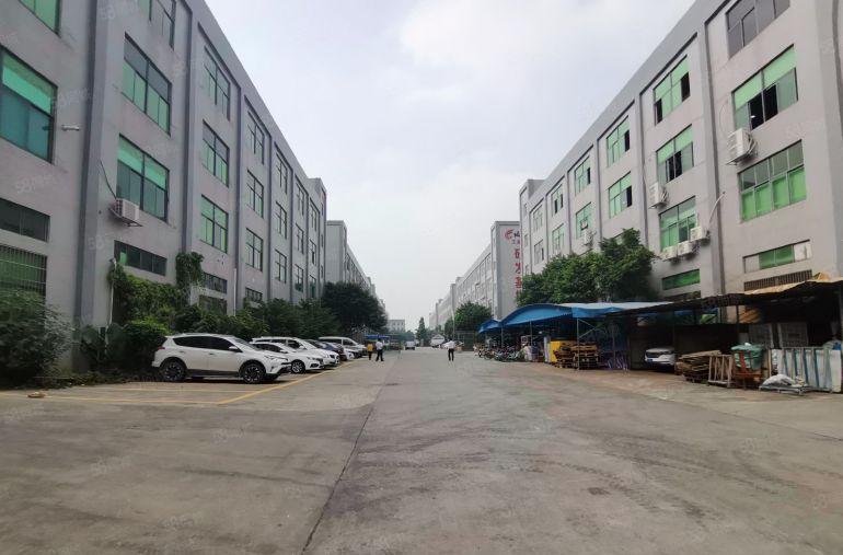 惠阳新圩一楼800平标准厂房出租原房东便宜主线到车间拎包入驻