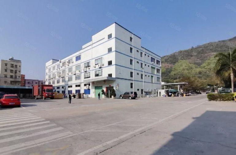 新圩南坑工业区新出楼上面整层积1000平厂房出租原房东无公摊