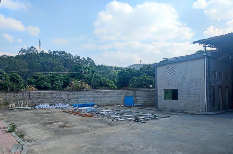 超大空地，独门独院10块低价惠阳镇隆原房东2500平方