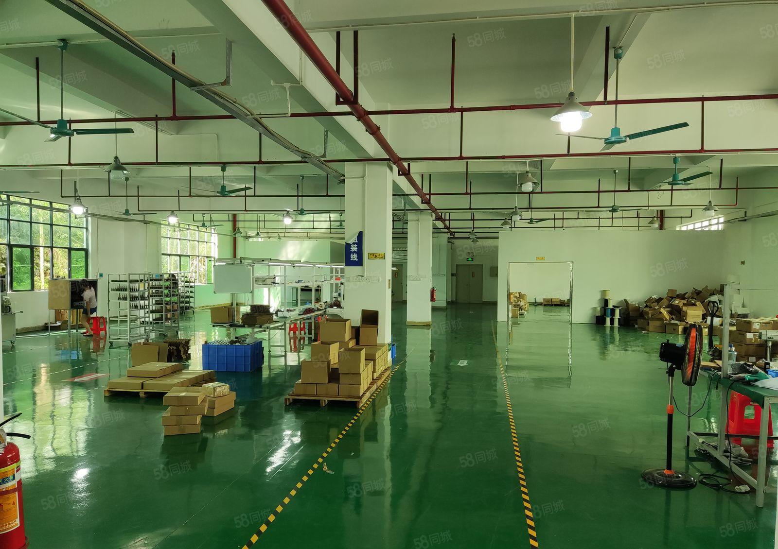 （精装修，无转让费）淡水白云坑一手业主红本工业园招租！