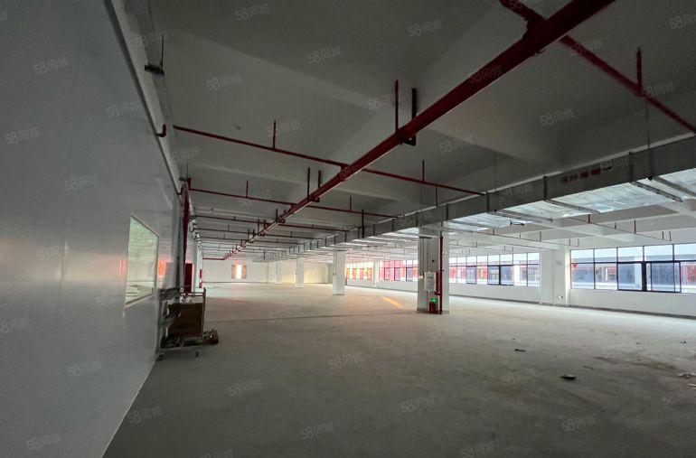 惠州惠阳中心区，低价厂房出租，