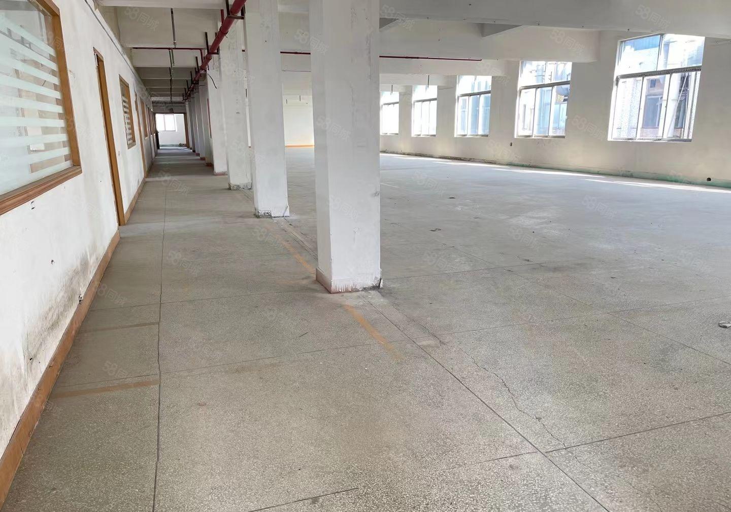 原房东红本厂房大小可分租