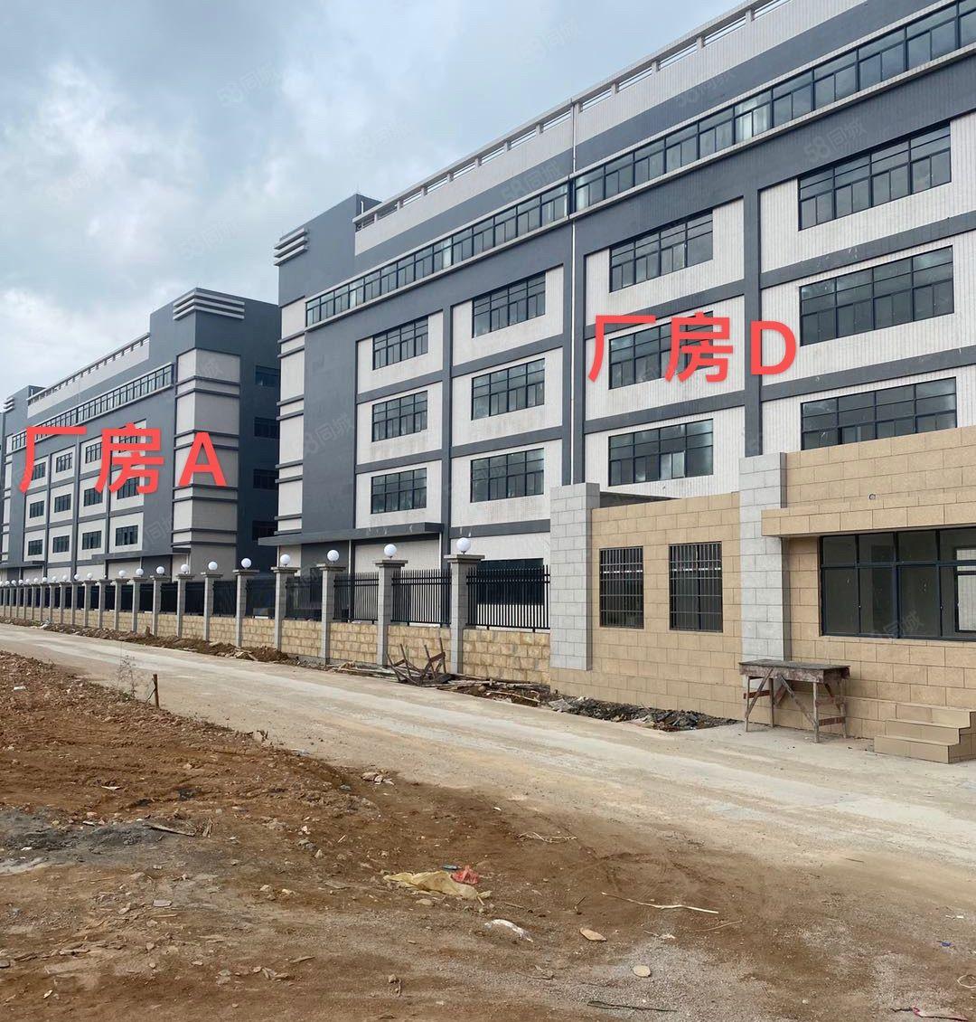 镇隆镇独门独院厂房出租全新厂房出租