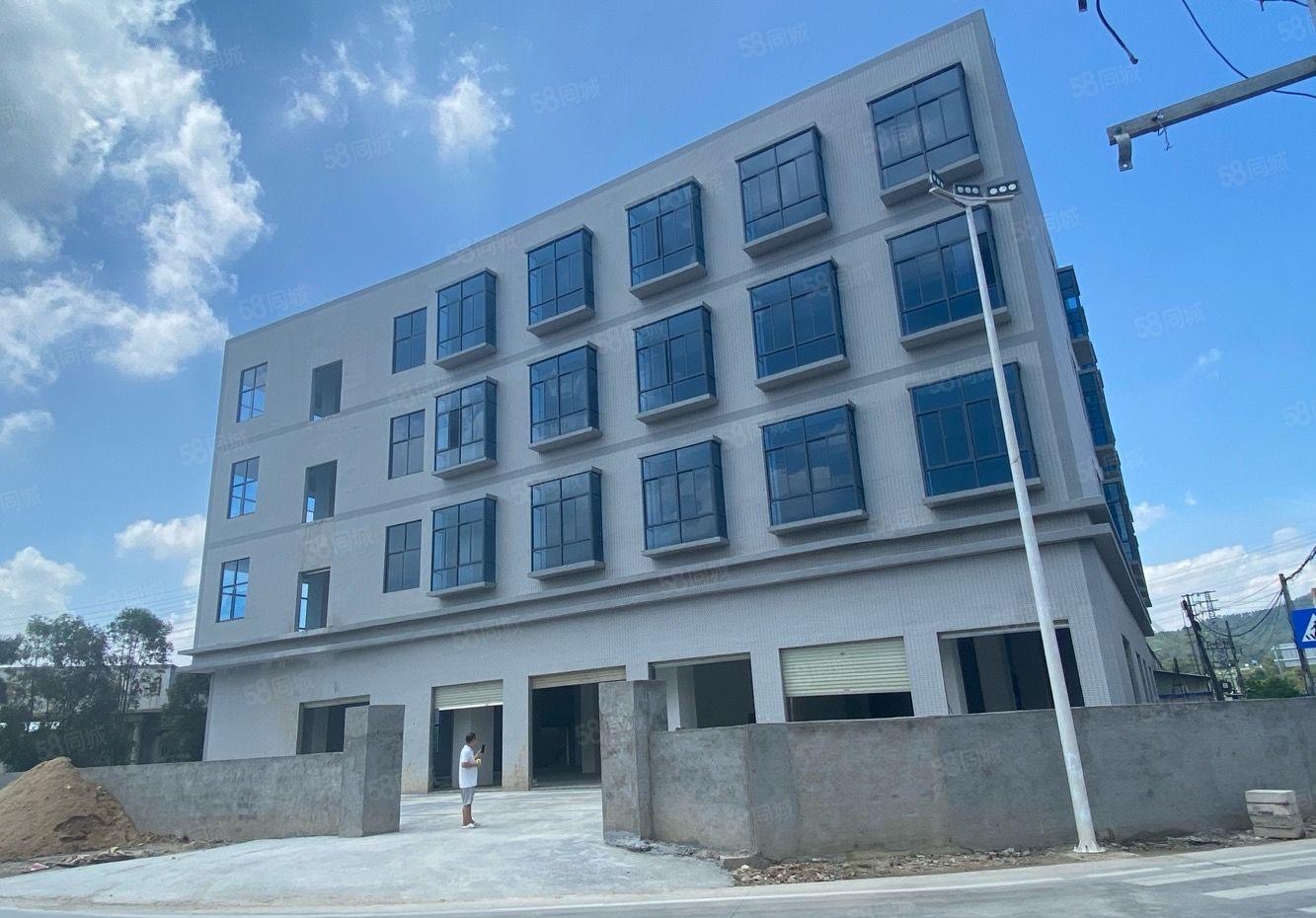 新圩原房东红本6000平独栋全新厂房出租临深临莞路段可分租