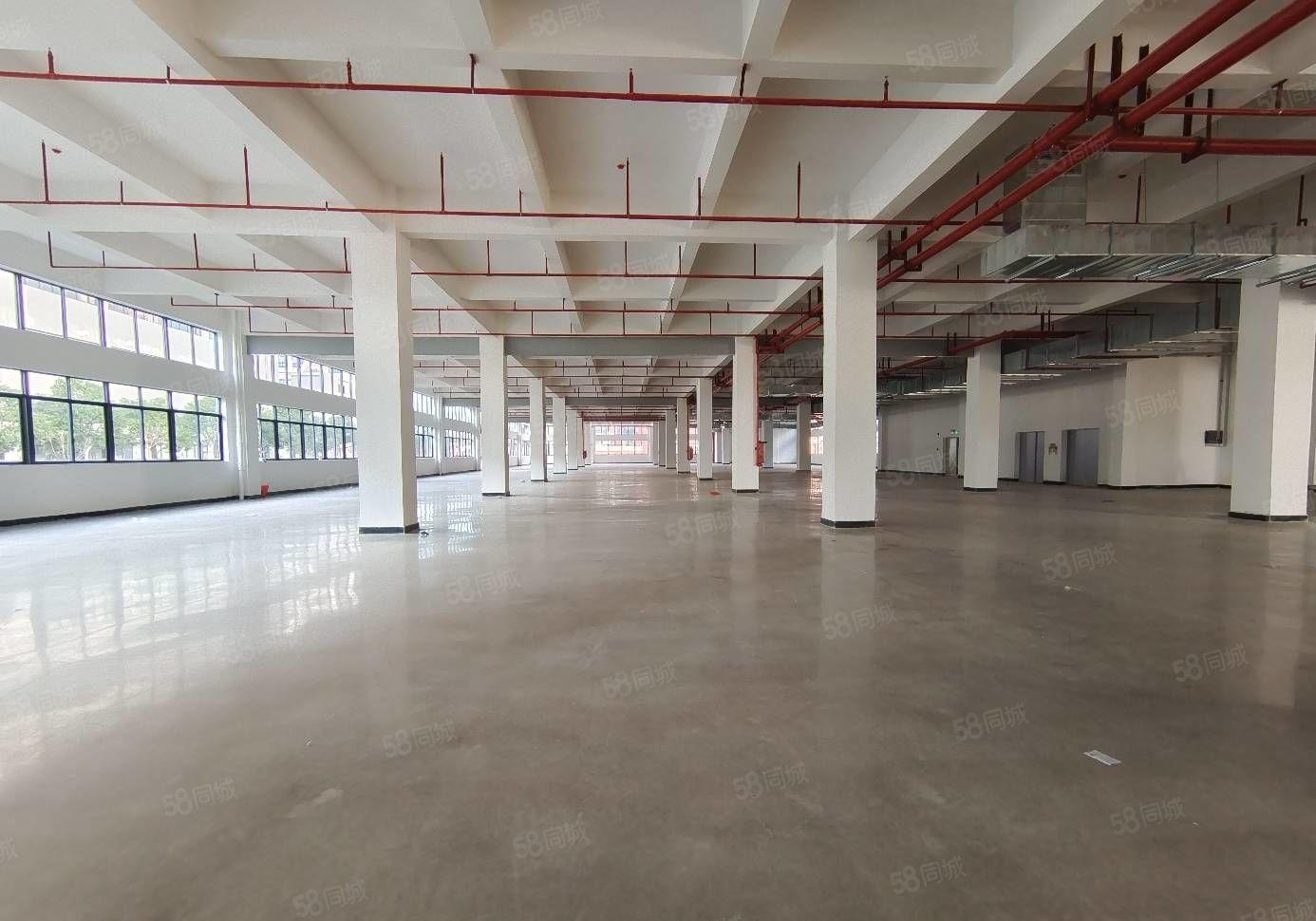 惠阳平潭怡发工业区全新红本标准厂房火热招租 大小面积可分租