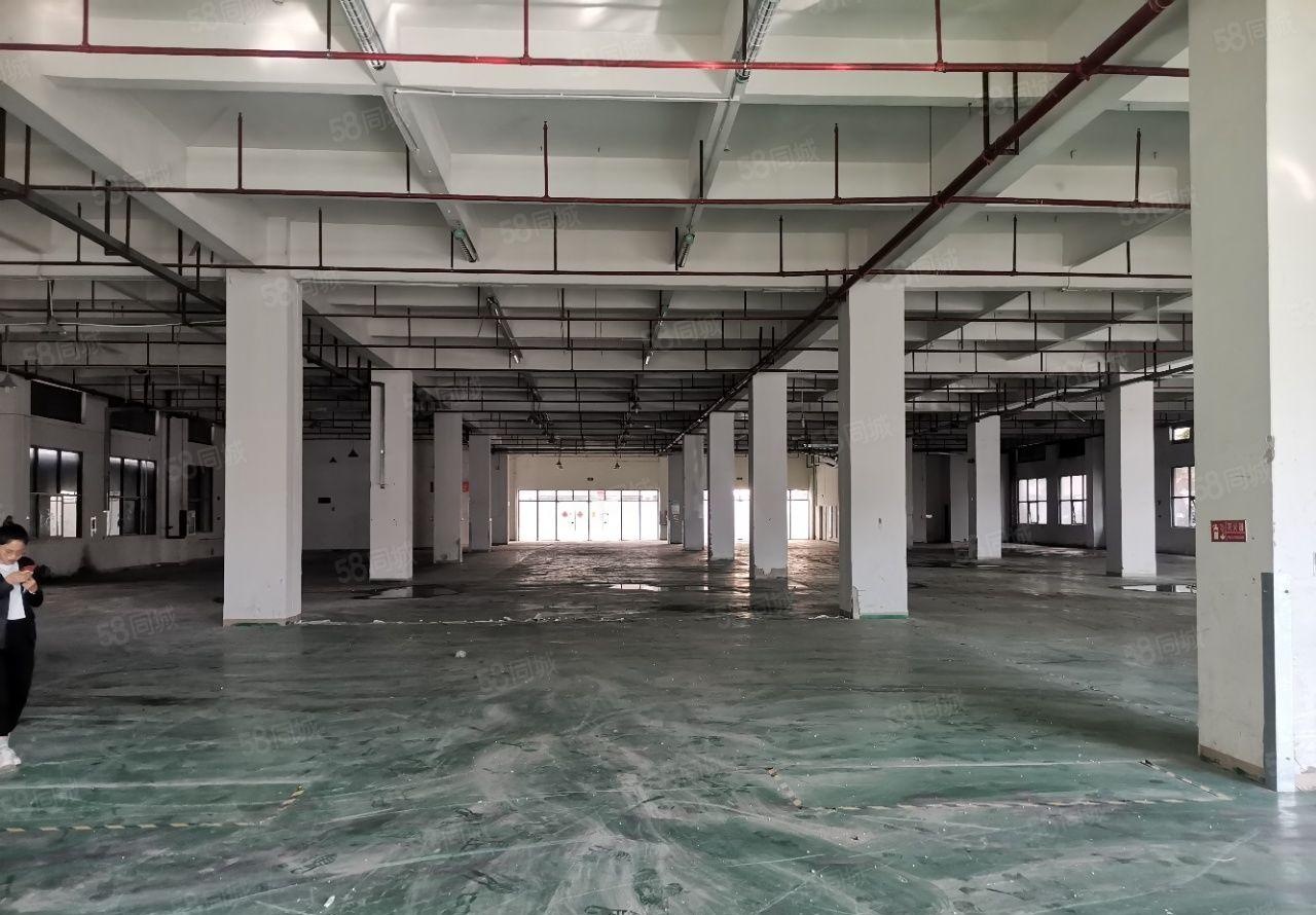 惠阳秋长花园式红本工业园1楼现成水电精装修厂房1000平起分