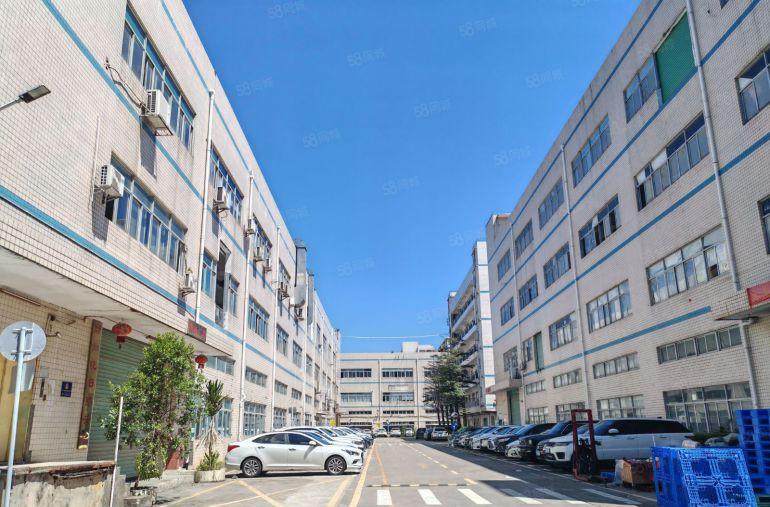 秋长淡水一楼1500平6米高房东低价出租现成装修办公水电齐全