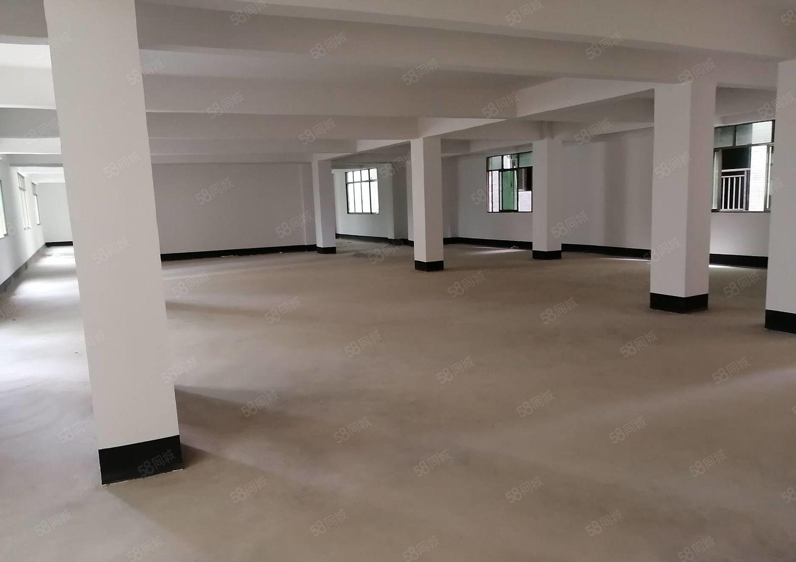 惠阳白石10元全新标准常厂房600平