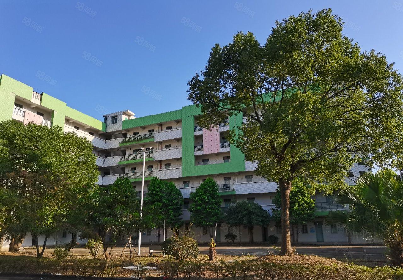 惠阳秋长新出独院红本厂房2.8万平一楼7米高秒办环评空地超大