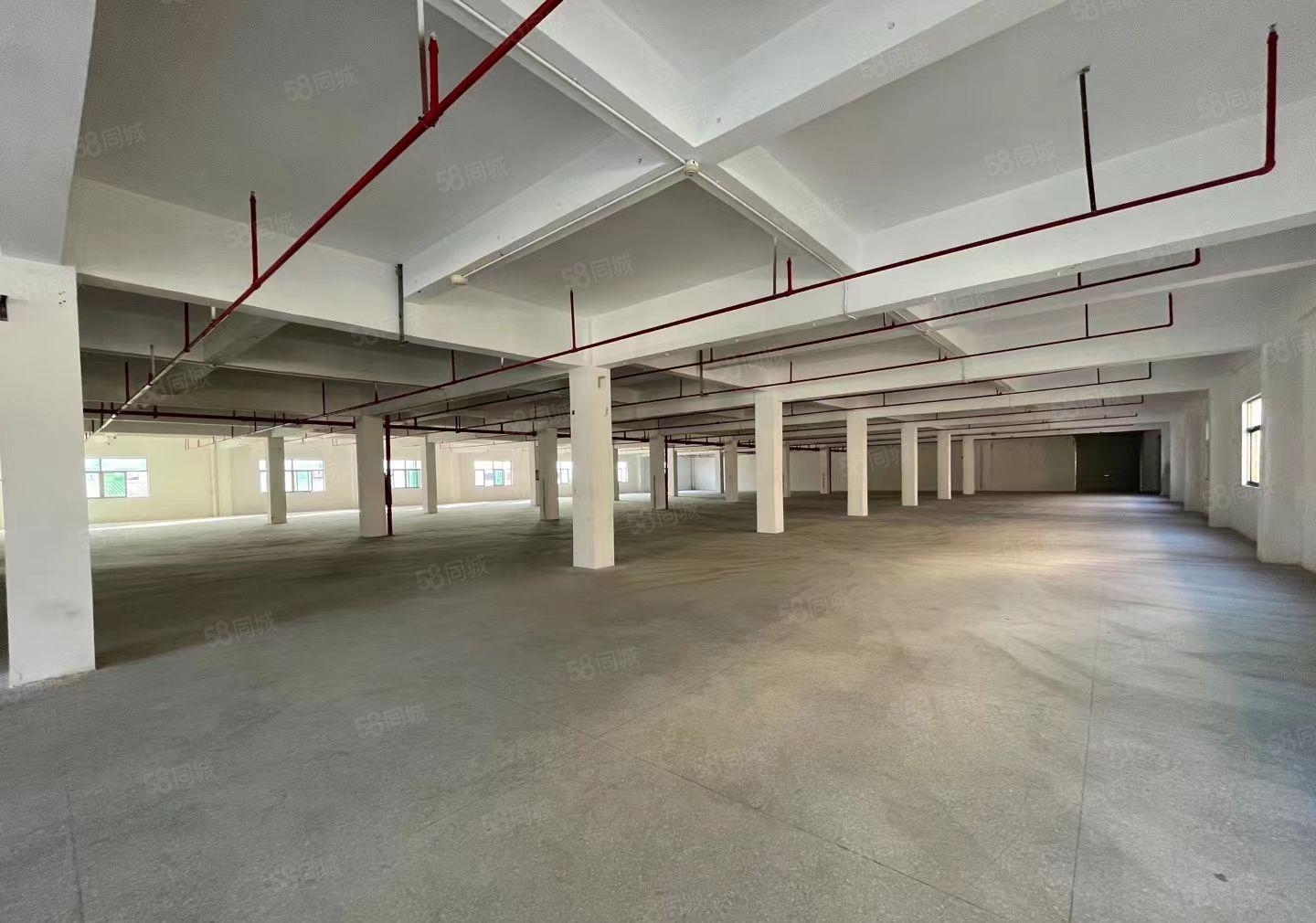 惠州 平谭工业区标准厂房2300平方 现成装修水电