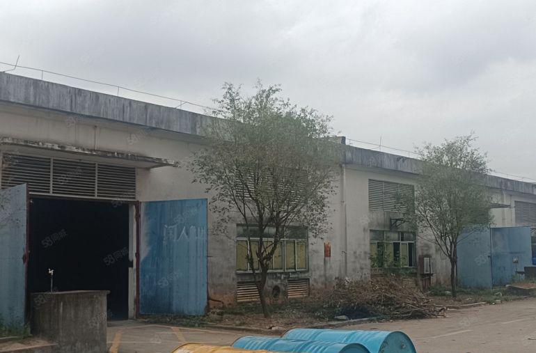 （大小分租）惠阳新圩新出靠山边红本独院钢结构厂房24000平