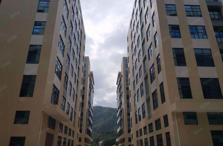 6块钱，惠阳秋长原房东实际面积出租500平起分租20万平出租