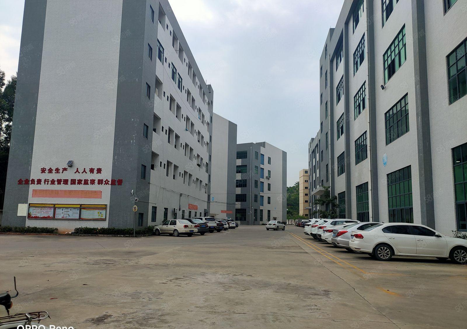 惠阳区秋长镇新空出五楼标准厂房1930平