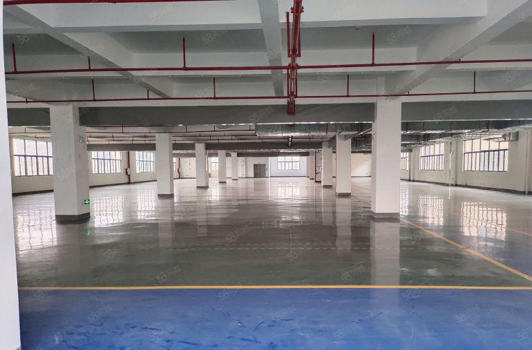 8元带装修！惠阳镇隆靠近沥林原房东2楼2000平方低价出租