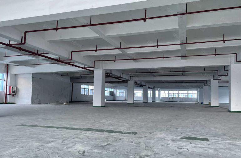 白石大湖工业区新出楼上2000平现成装修仓库厂房低价出租