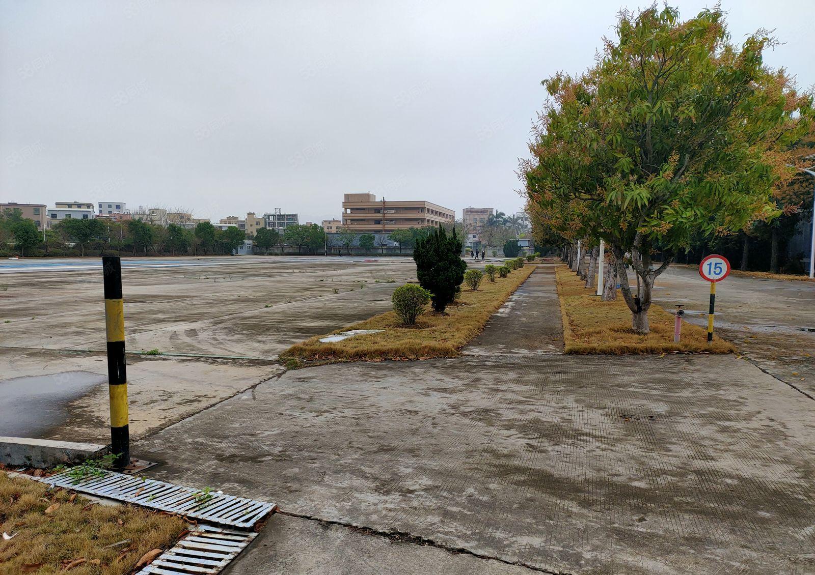 单一层钢结构10000平米出租，可整租或分租