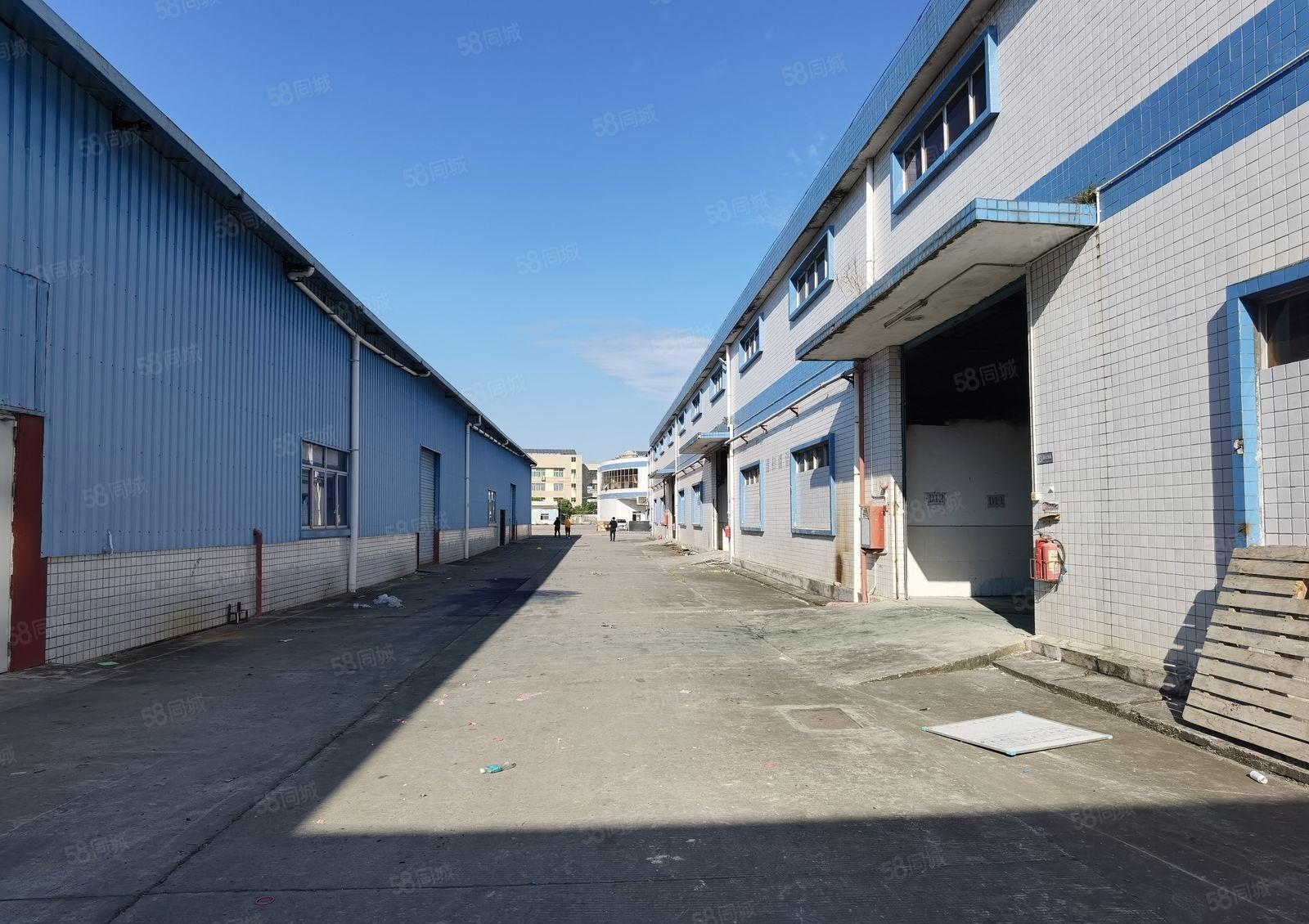 惠州市新圩镇长布村200平起分独院带钢构标准厂房原房东出租