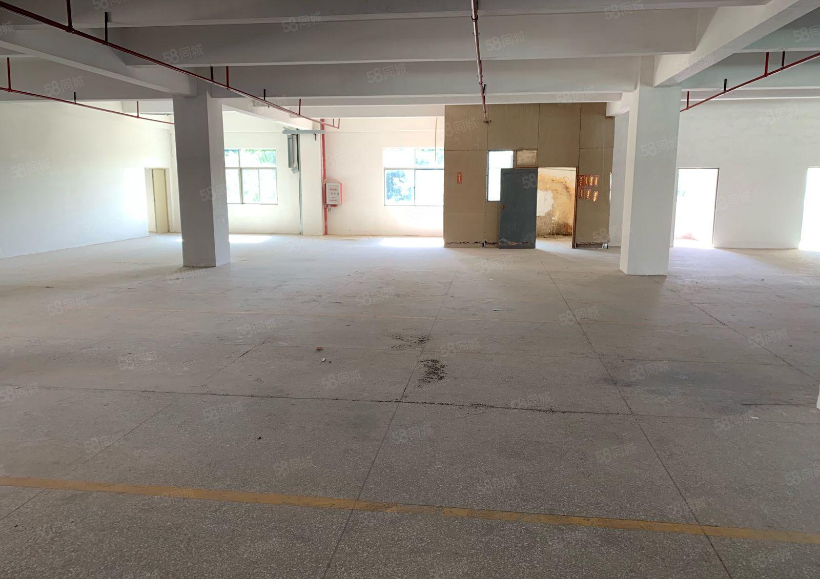 单价12块 惠阳秋长西湖 1250平  可生产加工