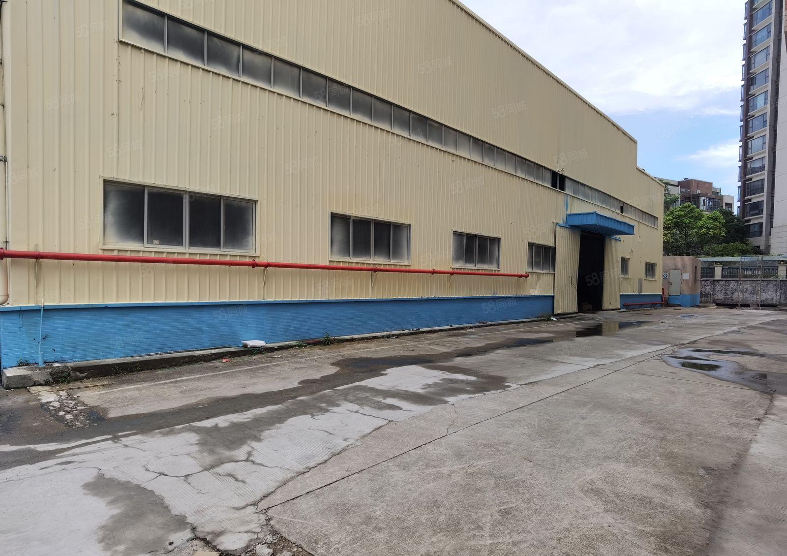 惠阳 沙田5000平独院钢构厂房出租实际面积原房东出租