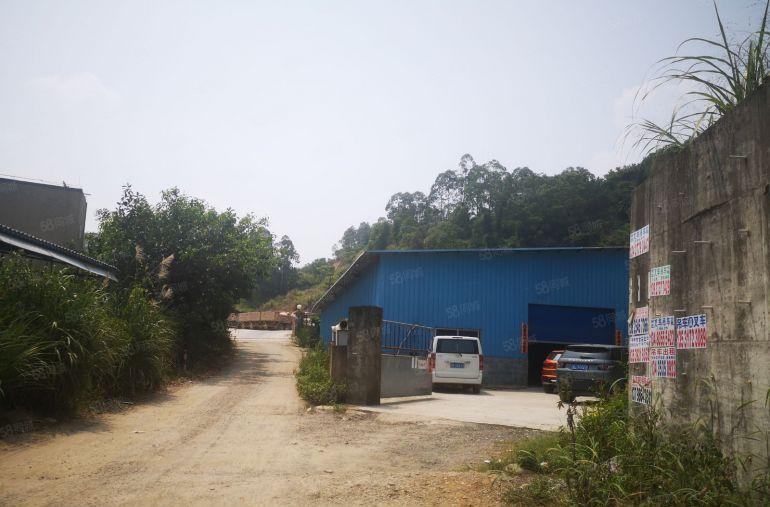 惠阳新圩新出原房东1150平房独院钢构厂房出租可做污染行业