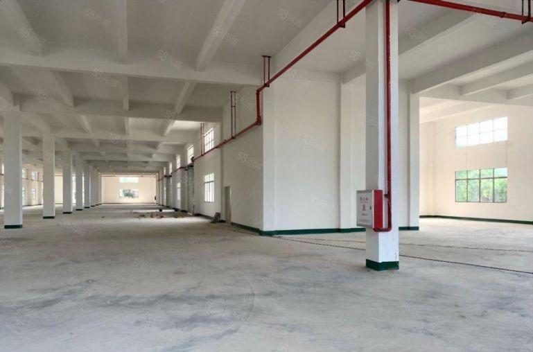 惠州秋长主干道旁村委 独院7200低价出租 齐全 院长大