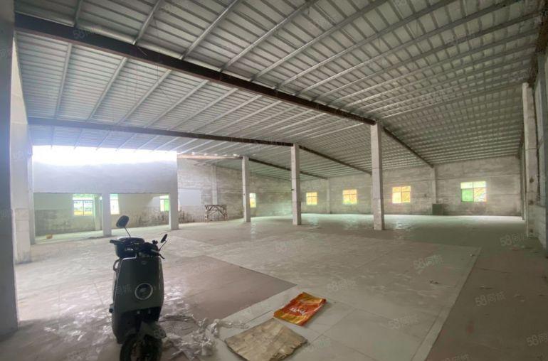 惠阳新圩650平原房东钢构厂房出租15元平月